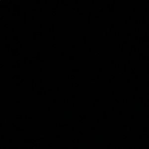 Meet your Posher, Blake